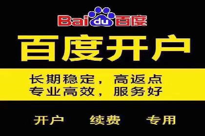 案例分析：百度推广代运营公司在行业中的应用与成效